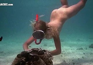 Celebrità Nude - scene subacquee